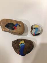 Cassowary Rock Art Painting
