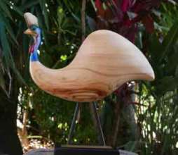 Cassowary Award