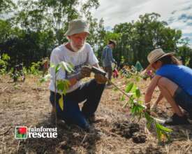 Planting a Rainforest (Credit: Martin Stringer)