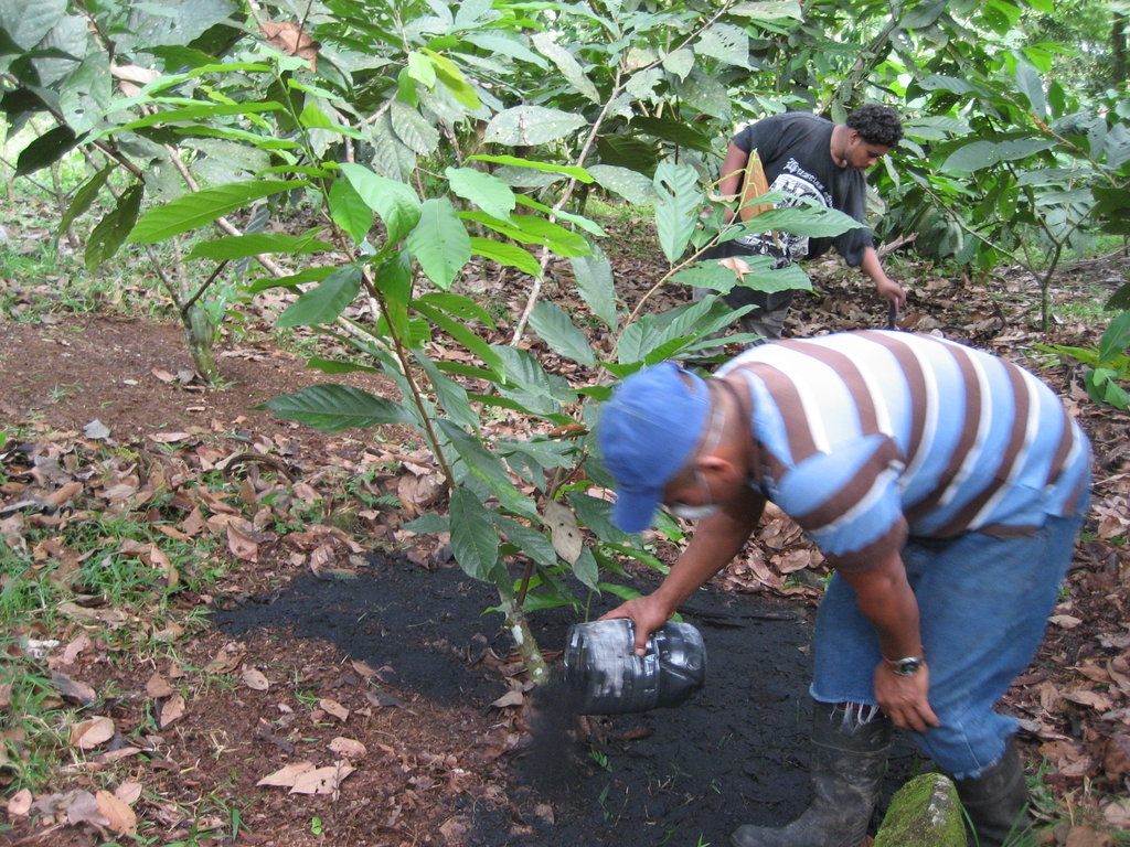 Biochar cook-stoves save lives and trees