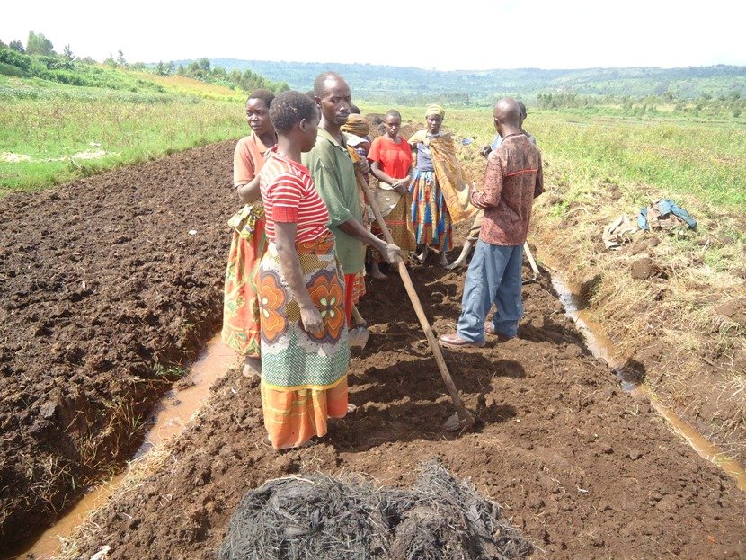 Training farm for 2046 poor farmers in BURUNDI