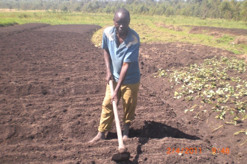 Training farm for 2046 poor farmers in BURUNDI