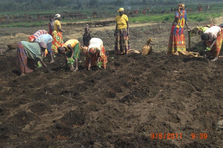 Training farm for 2046 poor farmers in BURUNDI