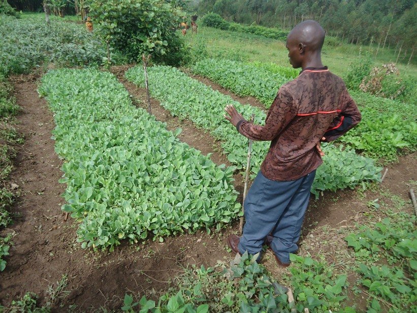 Training farm for 2046 poor farmers in BURUNDI