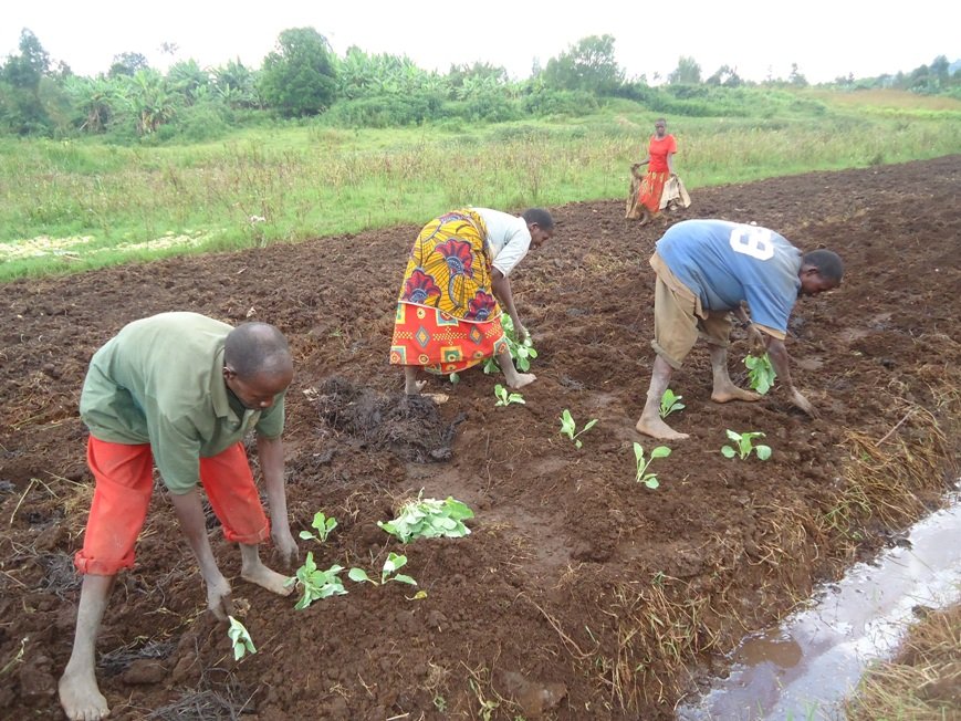 Training farm for 2046 poor farmers in BURUNDI