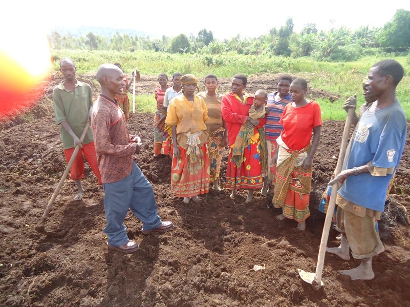 How to Share Training farm for 2046 poor farmers in BURUNDI GlobalGiving