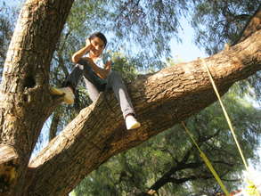 Lupis 2012