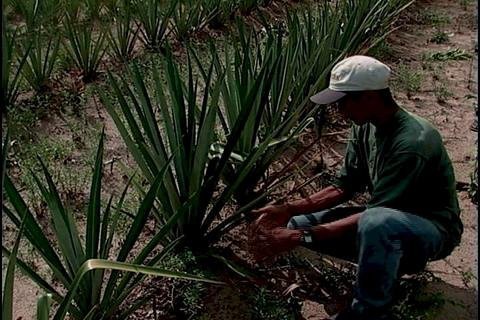 Locally-Made Paper & Craft to Preserve the Amazon