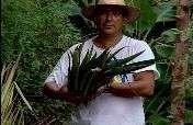 Locally-Made Paper & Craft to Preserve the Amazon
