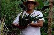 Locally-Made Paper & Craft to Preserve the Amazon