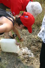 One of the 3000+ trees planted