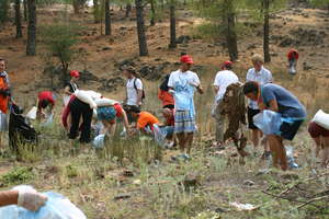 Volunteers cleaning the forest :)