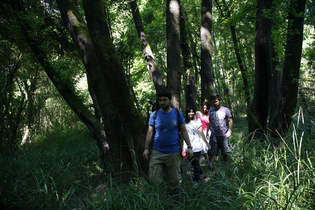 Revive 1000 hectares of the Mugla Sweetgum Forest