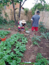 The garden with one of the twins