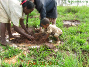 Planting trees for the next generation