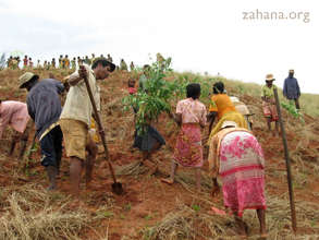 Community reforestation celebration