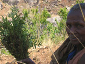 Dadaleva - first and foremost a healer