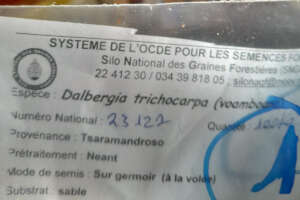 We bought endemic tree seeds for reforestation