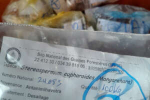 We bought endemic tree seeds for reforestation