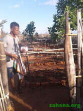 Prosper - The new gardener and grandson