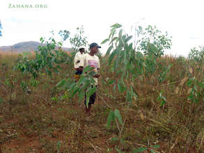 Master gardener Jean in 'his' forest