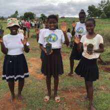 Reforestation in action