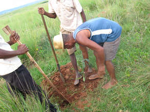 Tree planting