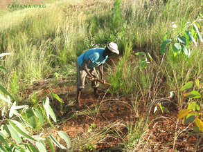 Tending trees planted during Int. Women's Day