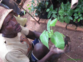 Jean in his nursery in 2010