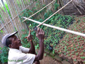 Jean with a baby tree in 2011