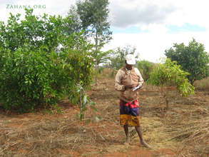 Jean checking the reforestation list