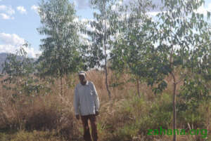 Jean in 'his forest' in 2016