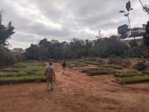 At the National Forestry Center