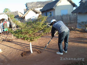 Tree planting for the innauguration