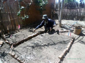 Planting the harvested Moringa seeds