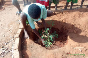 Water makes all plants grow better