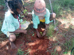 The next geration planting trees