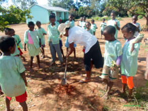 Planting trees in the school yard