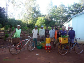 Bicyles as transportation devices for seedlings