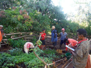 Checking out the option and taking notes