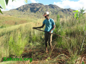 Our tireless Zahana rep in the village teaching