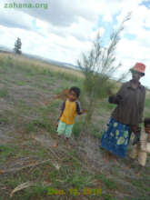 The trees this little boy has planted are now tall