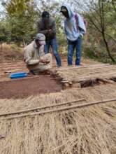 At the National Forestry Center