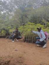 At the National Forestry Center