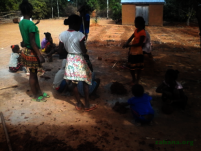 17-20 Augist 2021 508 Seedballs reported