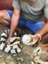 A final protective seed ball coating with ash