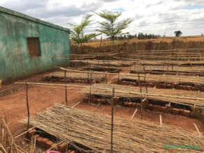 New tree nursery Fiarenana