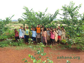 Planting trees in the schoolyard offers shade