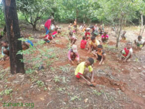 School children planting trees