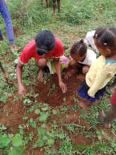 Planting trees